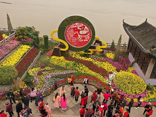 重慶五色草造型